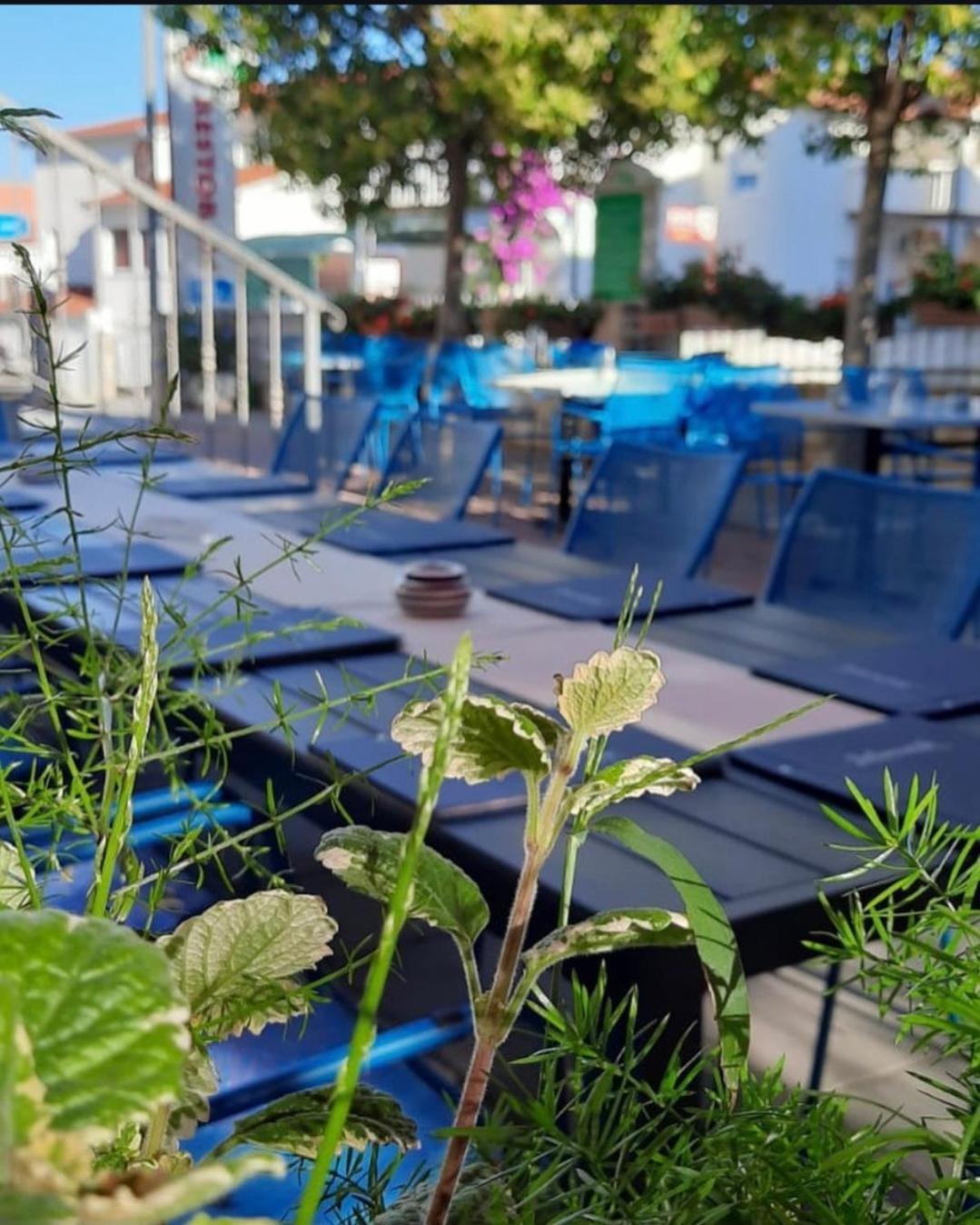 Apartments Ars Vivendi Trogir Buitenkant foto